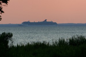 IMG 3652