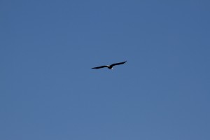IMG 3888